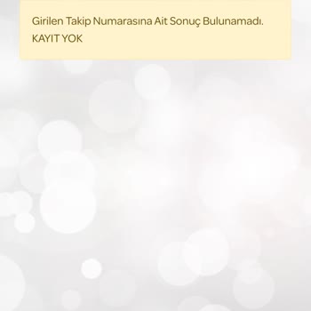 Kargo Takip Sorunu: PTT Kargo İle Mağduriyet