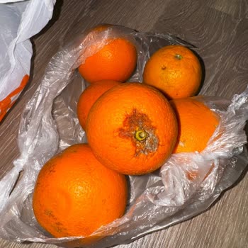 Çürük Meyvelerle Dolup Taşan Sipariş