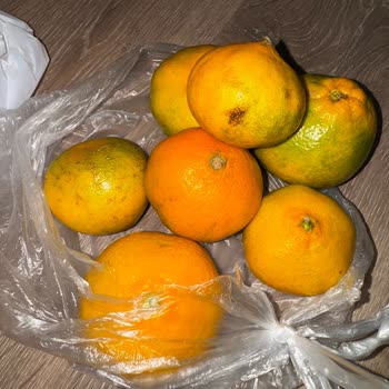 Çürük Meyvelerle Dolup Taşan Sipariş