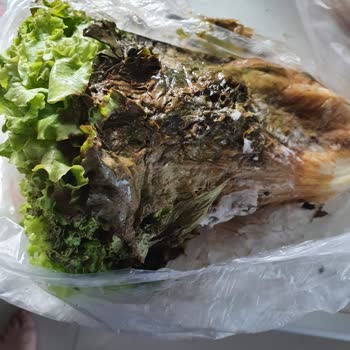 Beko Buzdolabı: Tazelik Ve Soğutma Sorunları