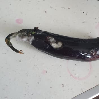 Beko Buzdolabı: Tazelik Ve Soğutma Sorunları