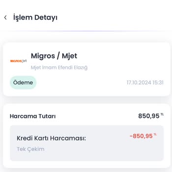 Chippin Kampanyasında Puan Sorunu