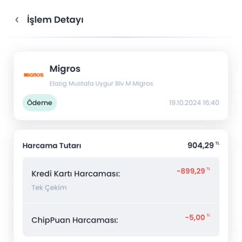 Chippin Kampanyasında Puan Sorunu