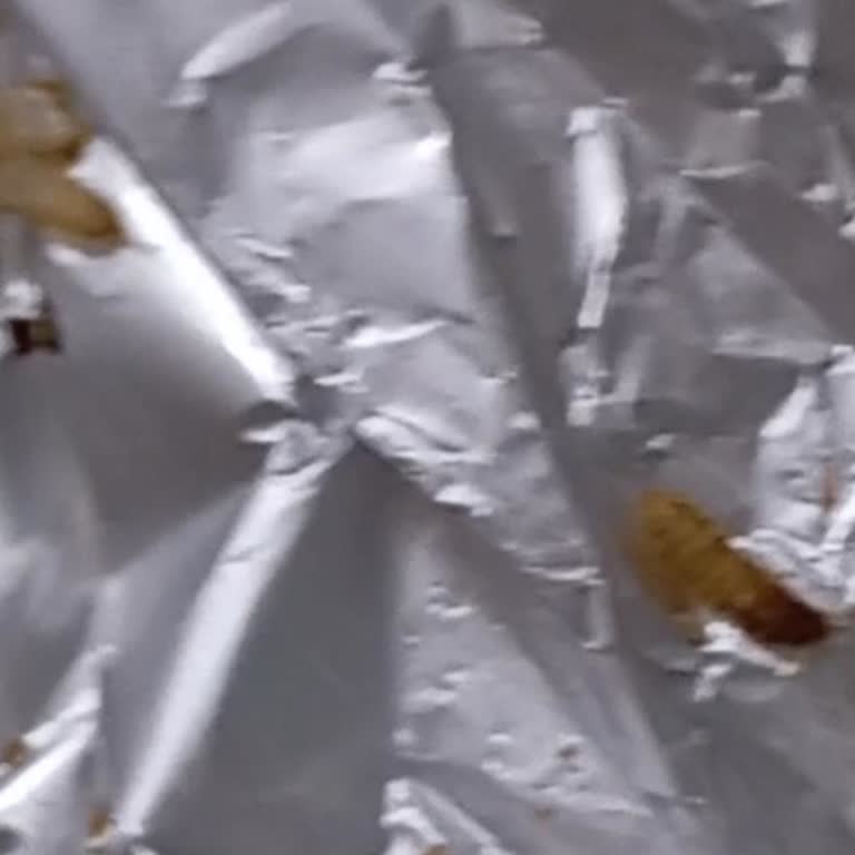 Çikolatada Canlı Kurt Şoku