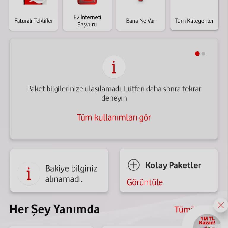 Faturalıya Geçişte Kullanım Bilgilerine Erişememe Sorunu