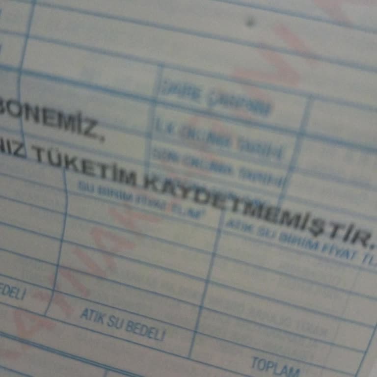 Fatura Gelmiyor, Toplu Ödeme Endişesi