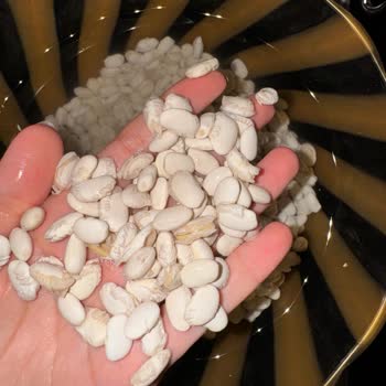 Yöresel Ürün Hayal Kırıklığı: Kalitesiz Bakliyat Deneyimi