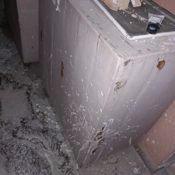 Pimapen Bayisi İle Yaşanan Zorlu Deneyim