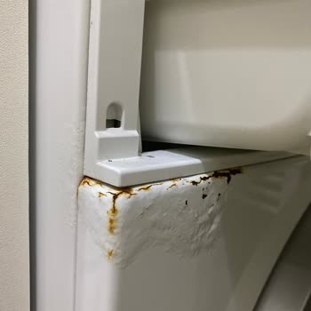 Arçelik Çamaşır Makinesi: Üretim Hatası Mağduriyeti