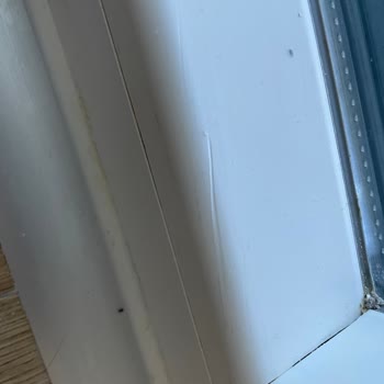 ÇLB Mimarlık Mühendislik Camları Mahvetti!