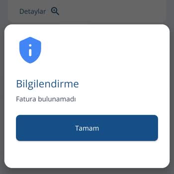 Haksız Borçlandırma Ve Kısıtlama Şoku