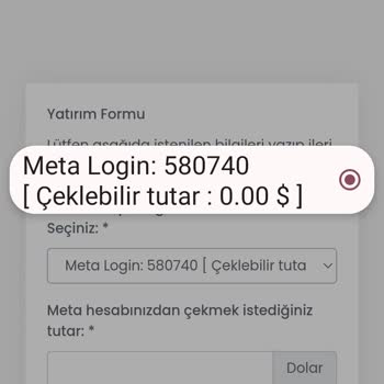 GKM Forex Hayal Kırıklığı Ve Güven Kaybı