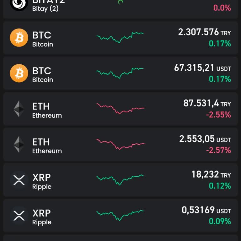 Bitay Platformunda Kaybolan Coinler Ve Yanıtsız Destek