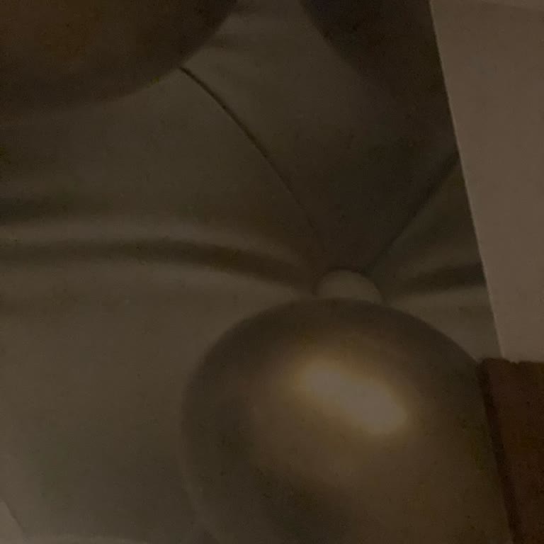 Papier Kalitesiz Bir İşletme