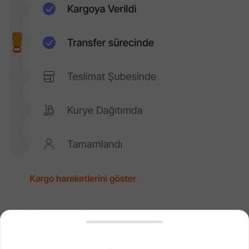Kargo Gecikmesi Ve Müşteri Memnuniyetsizliği