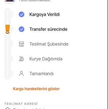 Kargo Gecikmesi Ve Müşteri Memnuniyetsizliği