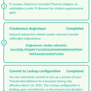 Pi Network Telefon Numarası Doğrulama Sorunu Ve Ek Ücretler