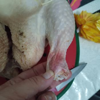 Erpiliç Tavukta Şok Edici Sorunlar