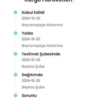 Yanlış Adres Sorunu Ve Ulaşılamayan Kargo