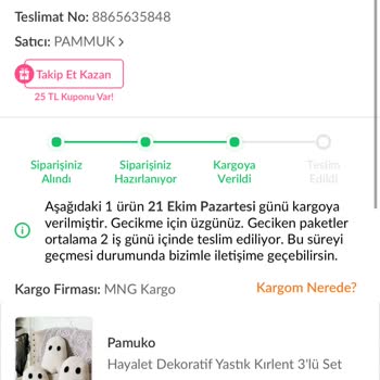 İptal Edilen Siparişin Para İadesi Sorunu