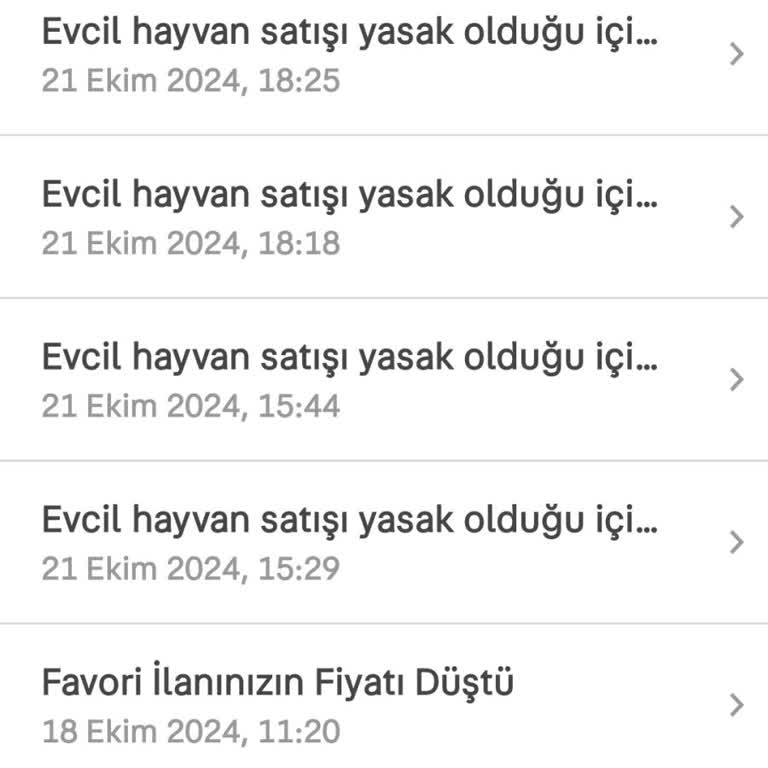 Cins Kedi Sahiplendirme İlanı Sürekli Reddediliyor