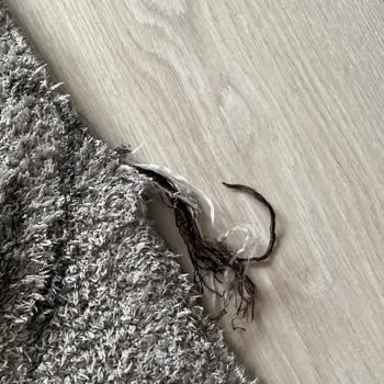 Halı Yıkama Sonrası Yırtık Ve Potluk Sorunu