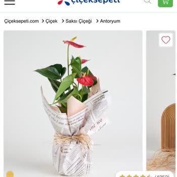 Yanlış Çiçek Ve Not Gönderimi: Çiçek Sepeti Hayal Kırıklığı