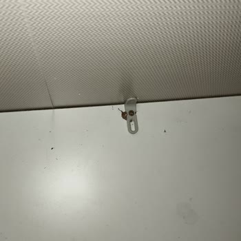 İstikbal Mobilya'da Kurulum Fiyaskosu Ve İlgisizlik