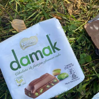 Çikolatadan Çıkan Kurtlar Şok Etti