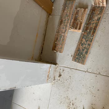 Bağcılar'da Yeni Dairede Su Sızıntısı Sorunu