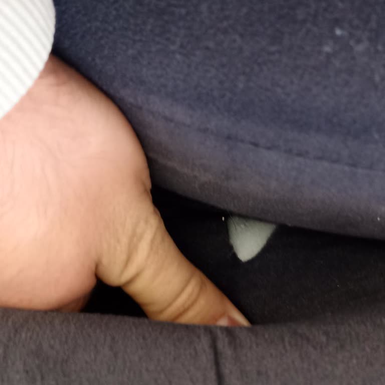 Hekahome Kurtoğlu Mobilya Kırık Koltuk Ve Yetersiz Servis Deneyimi