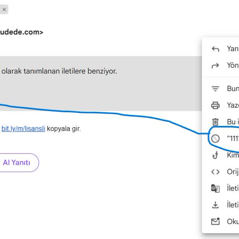 Gmail'deki Hatalar Ve Güvenlik Endişeleri