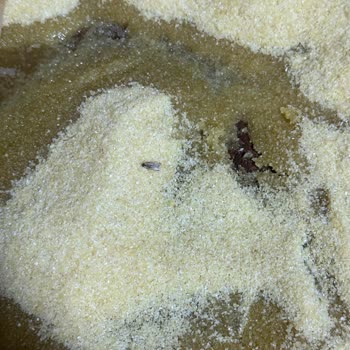 A101'den Aldığım İrmiğin İçinden Böcek Çıktı