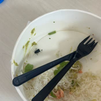 Bowl Department (Nişantaşı)  Siparişimde Böcek Şoku: Sağlık İhlali Ve Açıklama Talebi