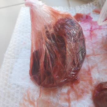 Kırılan Marmelat Kavanozları Ve İlgisiz Kargo Hizmeti