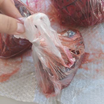 Kırılan Marmelat Kavanozları Ve İlgisiz Kargo Hizmeti