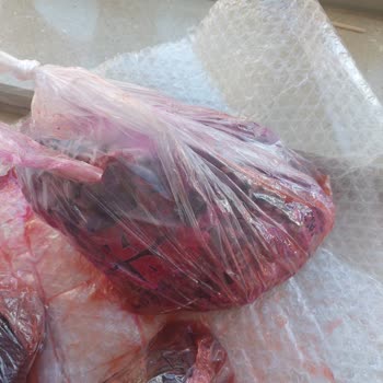 Kırılan Marmelat Kavanozları Ve İlgisiz Kargo Hizmeti