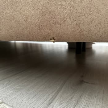 Mobilya Alışverişinde Büyük Hayal Kırıklığı