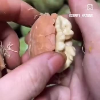 Şerife Hatun Yanıltıcı Ürün Ve İlgisiz Müşteri Hizmetleri