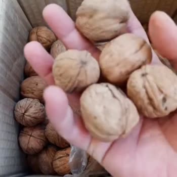 Şerife Hatun Yanıltıcı Ürün Ve İlgisiz Müşteri Hizmetleri