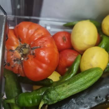 Vestel Buzdolabı Sorunları Ve Yetersiz Çözüm Önerisi