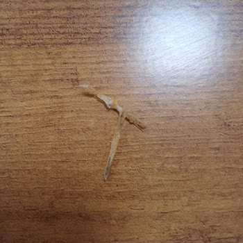 Tadımca Yer Fıstıklı Bar'da Şok Edici Yabancı Madde