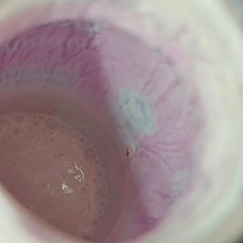 Kefirix Probiyotik İçinde Belirsiz Maddeler