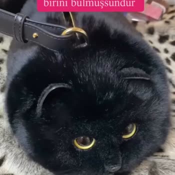 Yanıltıcı Ürün Ve İade Sorunu