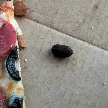 Pidem Restaurant Zeytin Çekirdeği Ve Soğuk Yemek Şoku