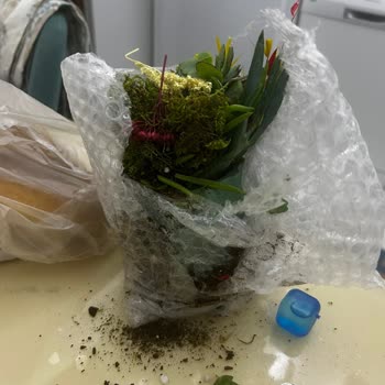 Kırık Çiçek Siparişi Ve Yetersiz Müşteri Hizmetleri