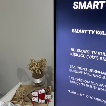 Philips TV'de Beklenmedik Dikey Çizgi Sorunu