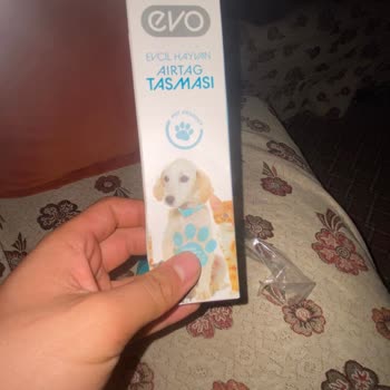 BİM Eksik Ürün Sorunu: Evcil Hayvan Tasmasında Çip Yok