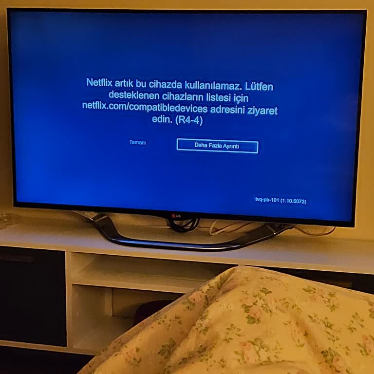 LG Televizyonum Netflix İçin Çalışmıyor!