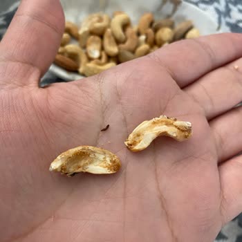 Gold Harvest Kuruyemiş Kurtlu Kaju Ve Yetersiz Müşteri Hizmeti